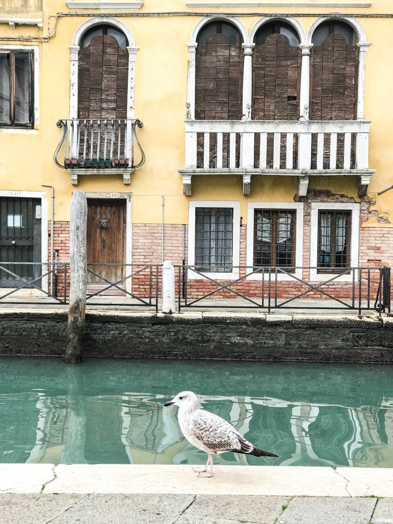 Venezia